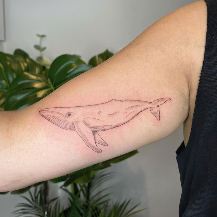 Delicate whale tattoo on arm