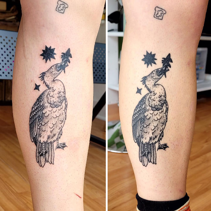 Animal tattoo on calf featuring a detailed bird with stars, showcasing unique tattoo art design.