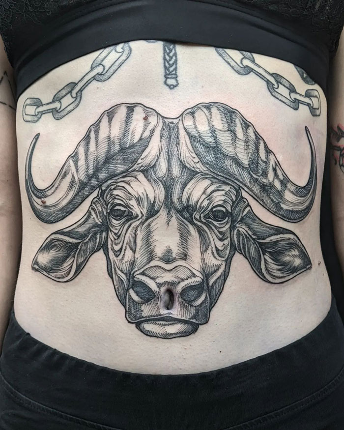 Thank You Margot For This Great Project. A Navel Buffalo, A Very Rare Species