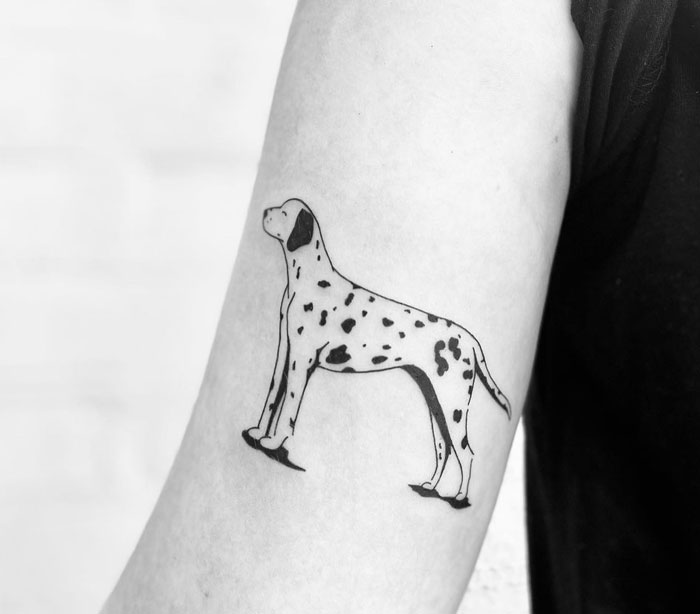 Simple dalmatian tattoo on arm