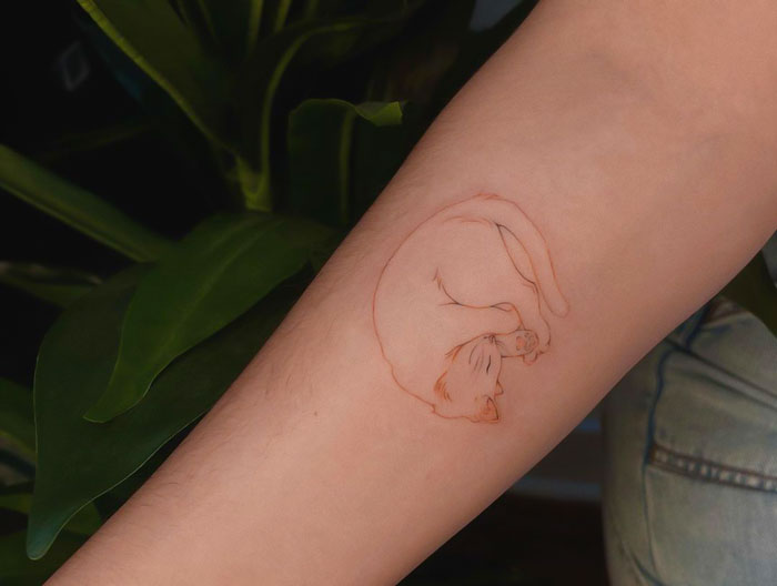 Delicate linear sleepy cat tattoo on forearm