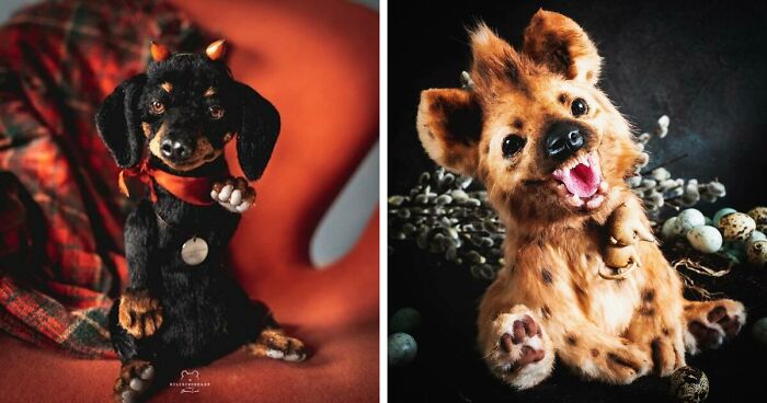 I’m Making Animal Dolls Out Of Faux Fur, And It’s Both Ethical And Cute ... - Can Dogs Eat Faux Fur And Social Problems