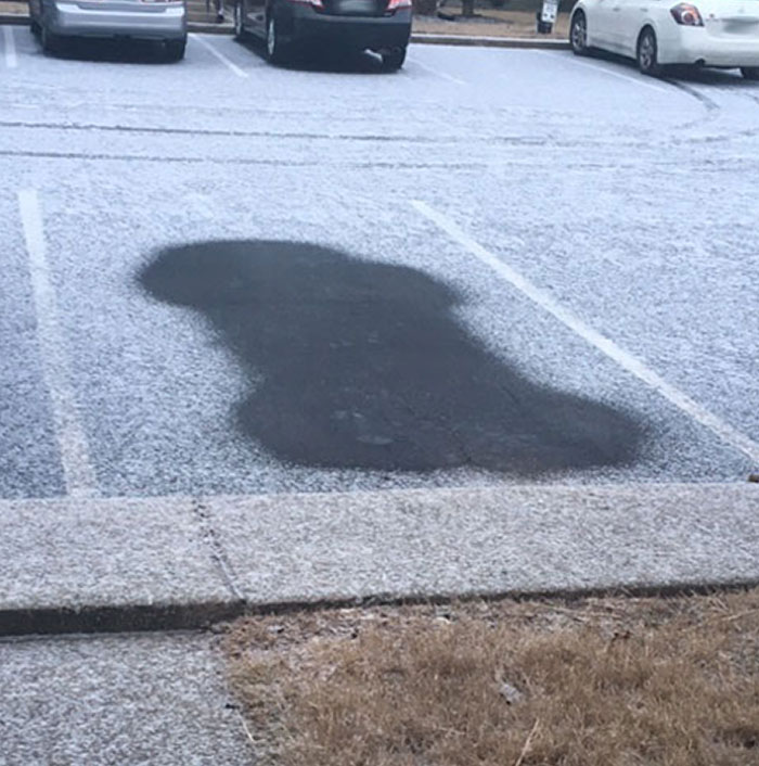 Una HOA multó a una mujer con 100 dólares por mover su coche después de una nevada dejando atrás este adorable falo