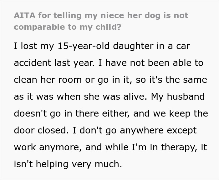The woman asks if she's a jerk for yelling at her niece that a teenage dog doesn't compare to her child.