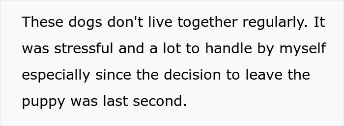 Woman Refuses To Let Down A Client Who Booked A Year In Advance Just So Parents Can Go On A Dog-Free Trip, Gets Called A Jerk Woman Refuses To Let Down A Client Who Booked A Year In Advance Just So Parents Can Go On A Dog-Free Trip, Gets Called A Jerk