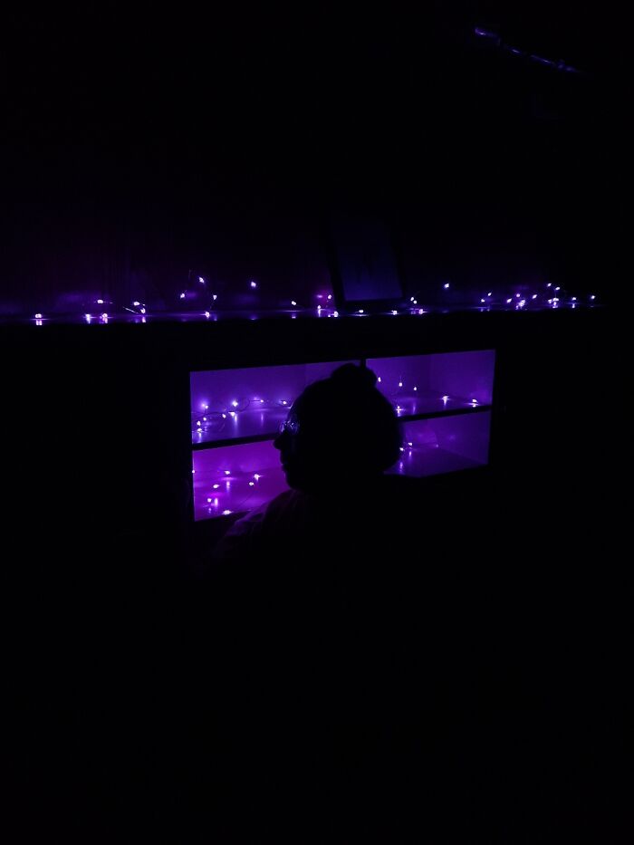 My Friend With The Backlight From My Bed. I Was Just Playing Around With My Phone Camera
