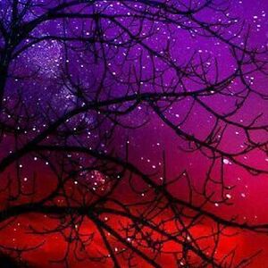 xx-_-venom-_-xx avatar