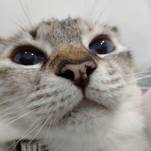 jaybeearguillas avatar