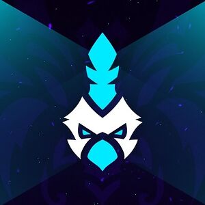 zephoenixrisen avatar