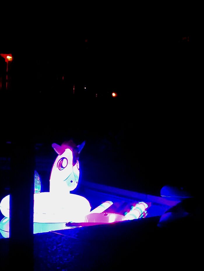 I Regret Buying Her Only Because I Had To Leave Her At The Renty House