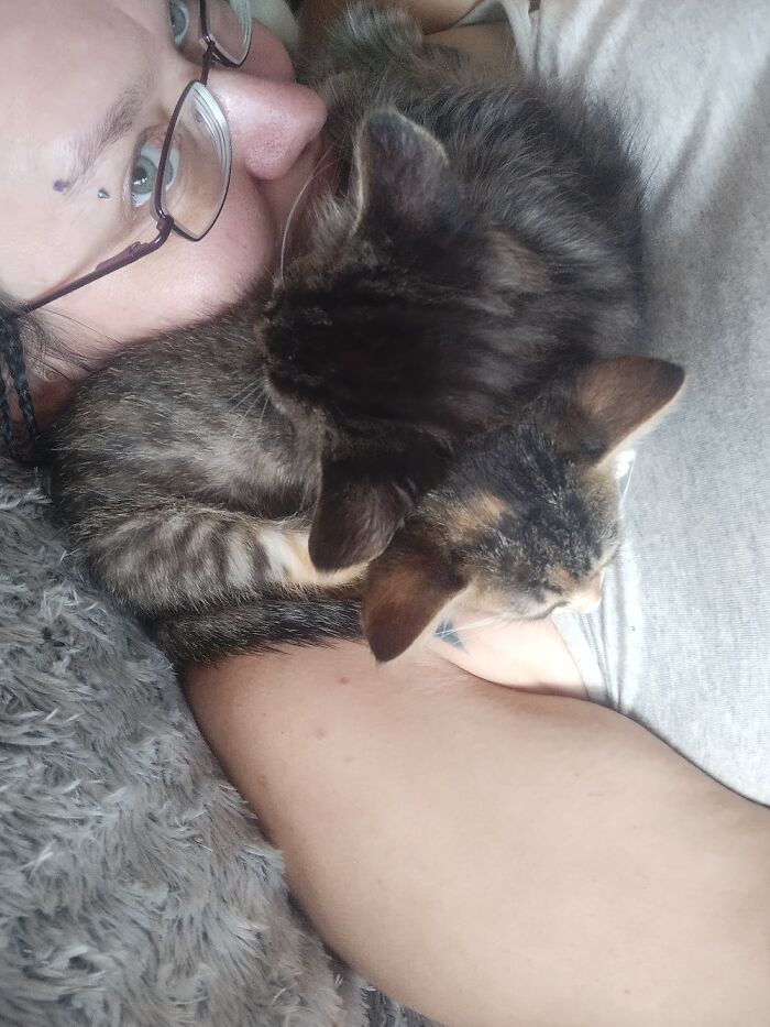 Within An Hour Of Bringing The Two Of Them Home, This Is How They Curled Up On Me