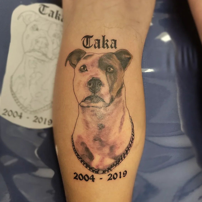 Unique calf tattoo of a dog with the name "Taka" and dates "2004 - 2019" under the portrait.