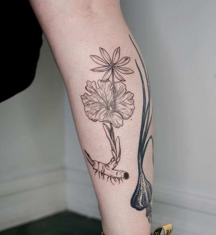 Blood root calf tattoo