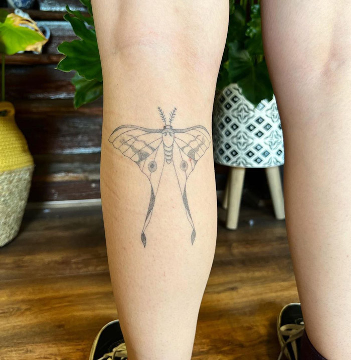 Moth calf tattoo design in a cozy indoor setting with wooden floors and plants.