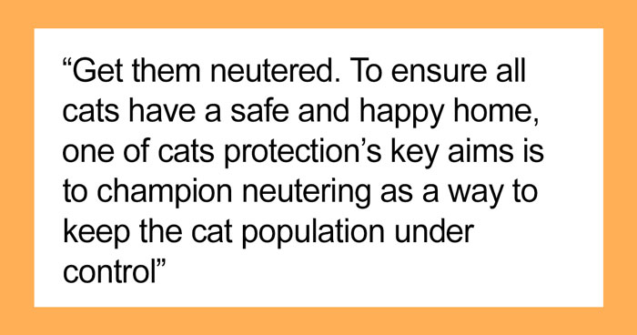 If You Have A Cat, These 30 Hacks May Interest You