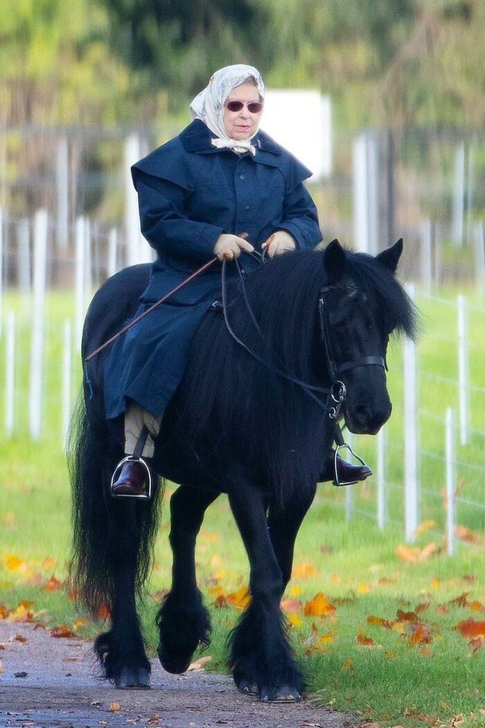 Queen Elizabeth II Was Spotted Riding A Horse On The Grounds Of Windsor Castle At 93 Years Old