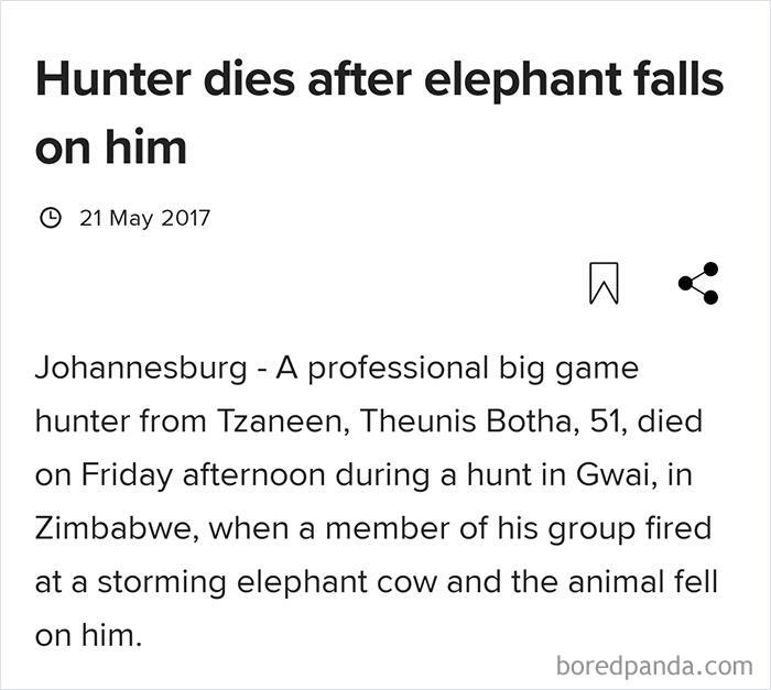 Hunter Dies After Shot Elephant Falls On Him