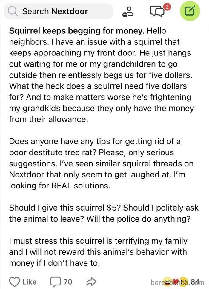 Squirrels Begging For Money