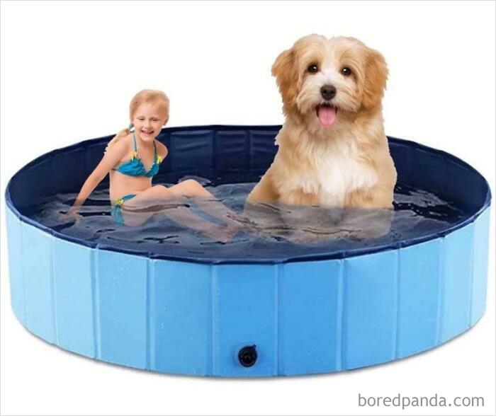 Piscina para perros