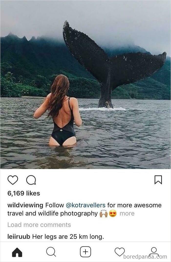 The First Comment Sums It Up