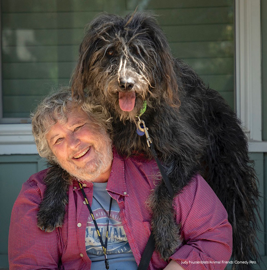Pets Who Look Like Owners Category Winner: 'Dave And Dudley' By Judy Nussenblatt