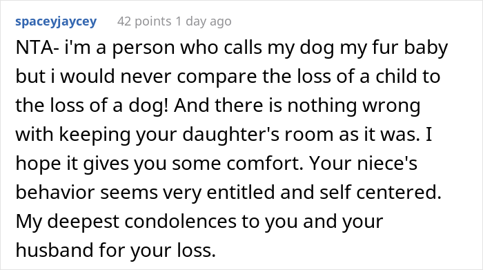 Woman Asks If She’s A Jerk For Yelling At Her Niece That The Teen’s Dog Is Not Comparable To Her Child