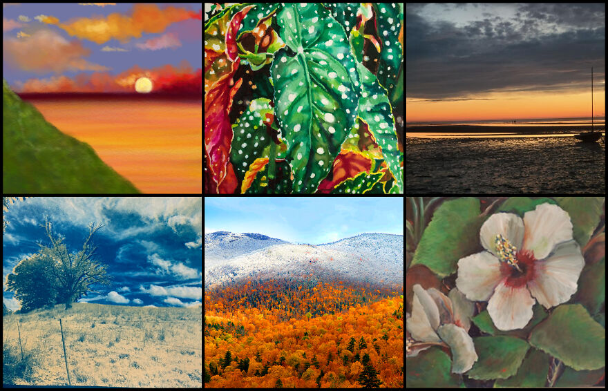 The Colors Of Nature Captured By 114 Artists