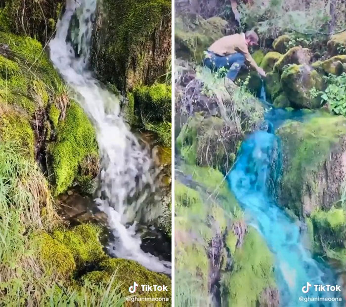 Couple Thought It Was A Good Idea To Dye A Whole Waterfall For Their Gender Reveal Party Couple Thought It Was A Good Idea To Dye A Whole Waterfall For Their Gender Reveal Party