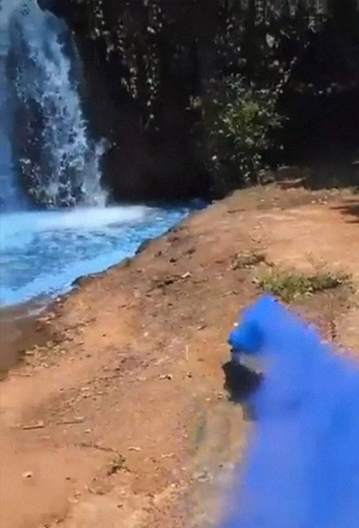 Couple Thought It Was A Good Idea To Dye A Whole Waterfall For Their Gender Reveal Party Couple Thought It Was A Good Idea To Dye A Whole Waterfall For Their Gender Reveal Party