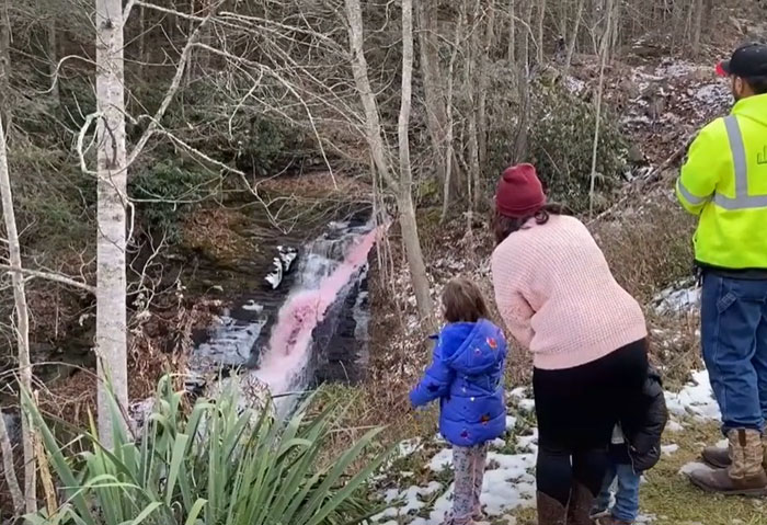 Couple Thought It Was A Good Idea To Dye A Whole Waterfall For Their Gender Reveal Party Couple Thought It Was A Good Idea To Dye A Whole Waterfall For Their Gender Reveal Party