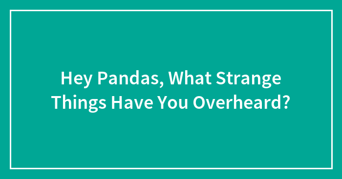 Hey Pandas, What Strange Things Have You Overheard?