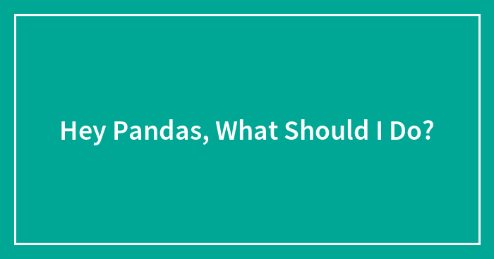 Hey Pandas, What Should I Do? (Closed)
