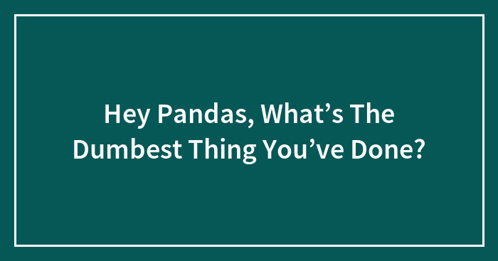 Hey Pandas, What’s The Dumbest Thing You’ve Done? (Closed)