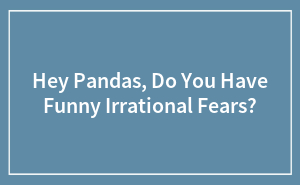 Hey Pandas, Do You Have Funny Irrational Fears?