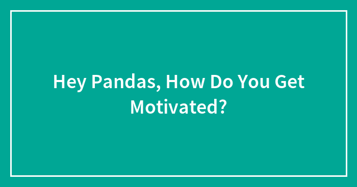 Hey Pandas, How Do You Get Motivated?
