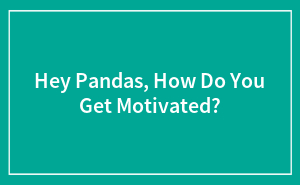 Hey Pandas, How Do You Get Motivated?