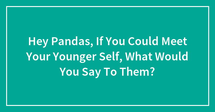 Hey Pandas, If You Could Meet Your Younger Self, What Would You Say To Them? (Closed)