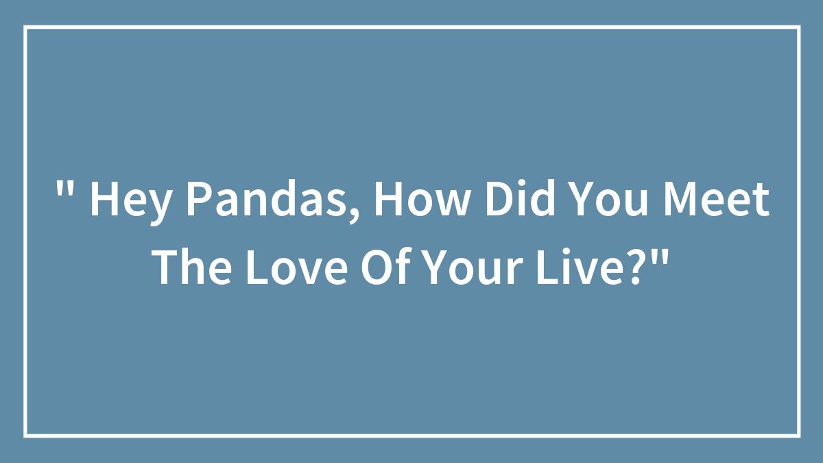 ” Hey Pandas, How Did You Meet The Love Of Your Live?”