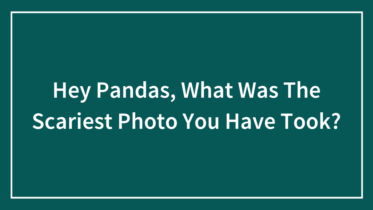 Hey Pandas, What Was The Scariest Photo You Have Took?
