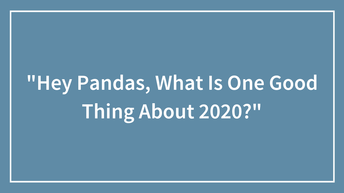 “Hey Pandas, What Is One Good Thing About 2020?”