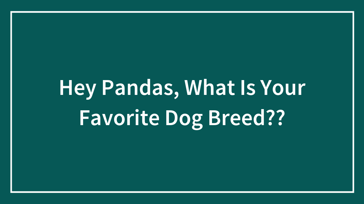 Hey Pandas, What Is Your Favorite Dog Breed??