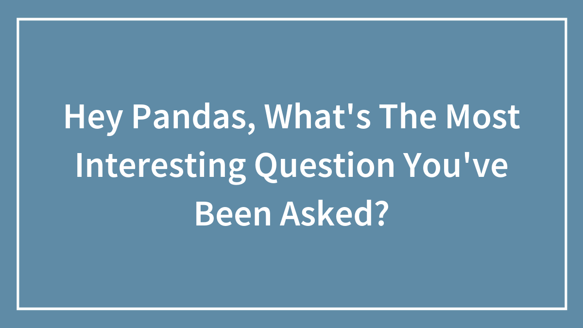 Hey Pandas, What’s The Most Interesting Question You’ve Been Asked? (Closed)