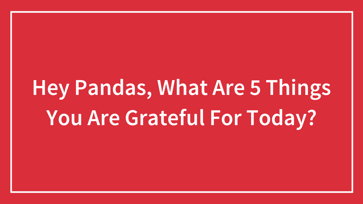 Hey Pandas, What Are 5 Things You Are Grateful For Today? (Closed)