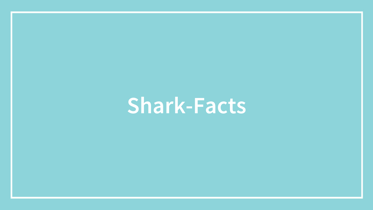 151 Crazy Facts About Sharks You Probably Didn’t Know