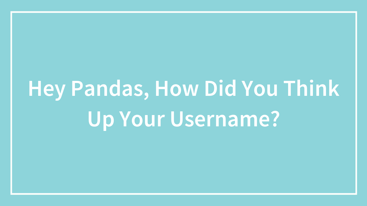 Hey Pandas, How Did You Think Up Your Username?