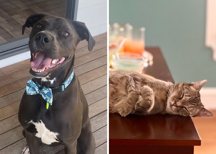 Hey Pandas, What’s Your Most Recent Photo That You Took With Your Phone? (Closed)