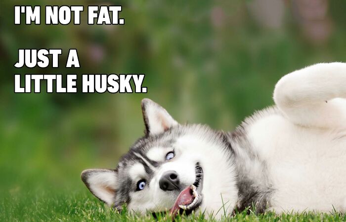 Hey Pandas, Share Some Wholesome Memes (Closed)