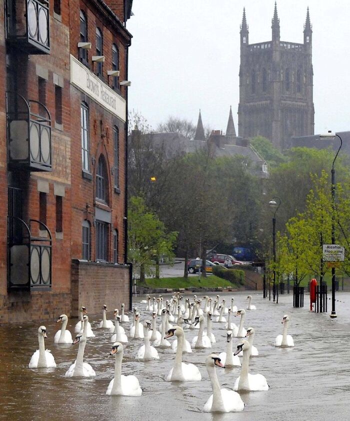 Un día lluvioso en Worcester, Inglaterra