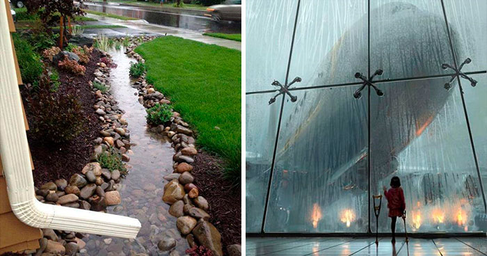 30 Imágenes que explican por qué la lluvia puede resultar reconfortante