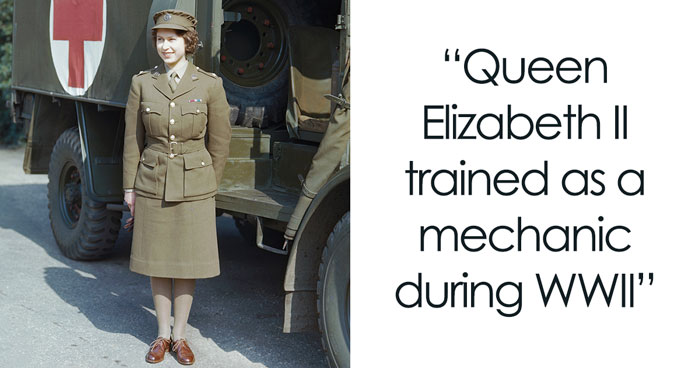 ‘Did You Know’ Facts That Will Help You Discover Something New